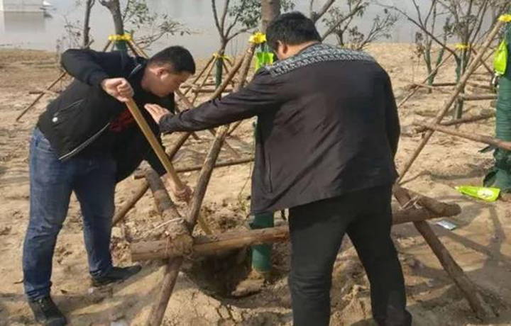 20180419/49fb9552bcac96c65d1f2b4ba28ac646.jpg 49fb9552bcac96c65d1f2b4ba28ac646.jpg