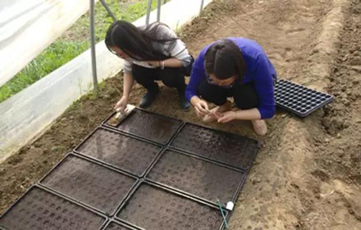 20180419/5d89f382f9e992eab9f2742992c0cff2.jpg 5d89f382f9e992eab9f2742992c0cff2.jpg