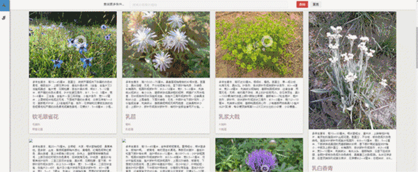 20180419/b30f5ec025e5967cac08b2daa5a733bb.gif b30f5ec025e5967cac08b2daa5a733bb.gif