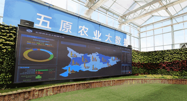 20180424/191fa07b510d75f5f302a89086d4f062.gif 191fa07b510d75f5f302a89086d4f062.gif