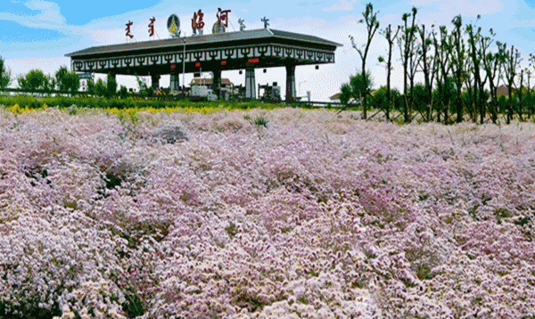 20180424/250b4ff2401e01cf8f21c1ab7d32554e.gif 250b4ff2401e01cf8f21c1ab7d32554e.gif