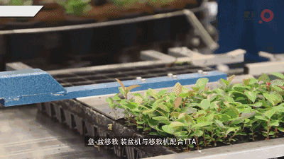 20180424/34fc3581b8e1709e841350e911ecb05f.gif 34fc3581b8e1709e841350e911ecb05f.gif