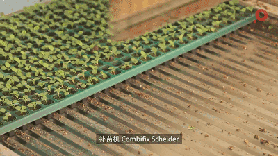 20180424/37928e47c19c0f916ca74f58c1ae4553.gif 37928e47c19c0f916ca74f58c1ae4553.gif