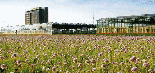 20180424/43ff031aee21d42ec25b77f3bbd44f66.gif 43ff031aee21d42ec25b77f3bbd44f66.gif