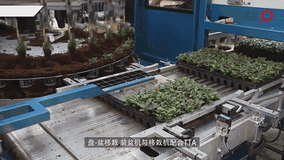 20180424/576b8a6829bec738e3878895bb1f5ebf.gif 576b8a6829bec738e3878895bb1f5ebf.gif