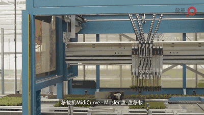 20180424/5ea9c5a0bd76fae1ee97adeada98cf53.gif 5ea9c5a0bd76fae1ee97adeada98cf53.gif