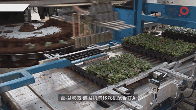 20180424/76be14cc1b522ed37ee3363a04818d43.gif 76be14cc1b522ed37ee3363a04818d43.gif