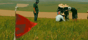 20180424/82bea2e1824ab326f7219bf3335964c1.gif 82bea2e1824ab326f7219bf3335964c1.gif