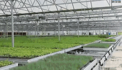 20180424/8f39b74c20e2da708803d72342305497.gif 8f39b74c20e2da708803d72342305497.gif