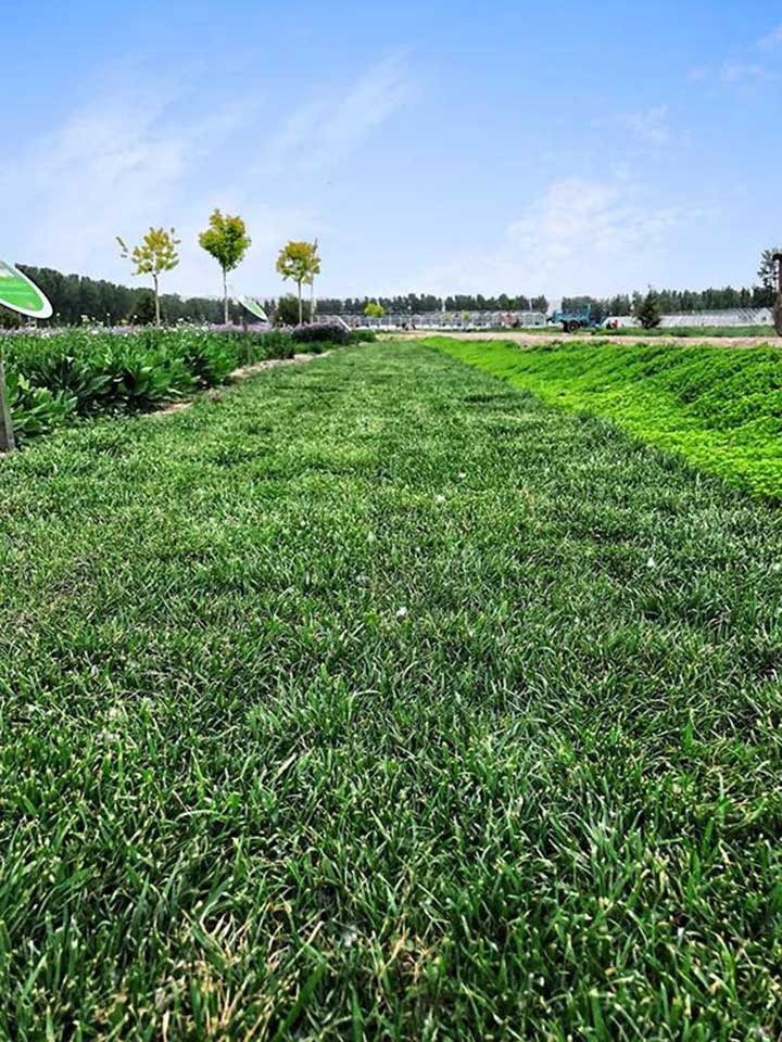 20180514/b241602fb24b52a3828bcf1a831e024b.jpg b241602fb24b52a3828bcf1a831e024b.jpg