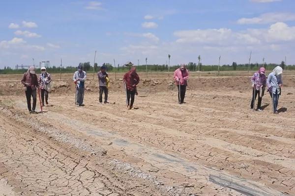 20180717/8b78d16fa976aa4ee23c7cf1b8bc9859.jpg 8b78d16fa976aa4ee23c7cf1b8bc9859.jpg