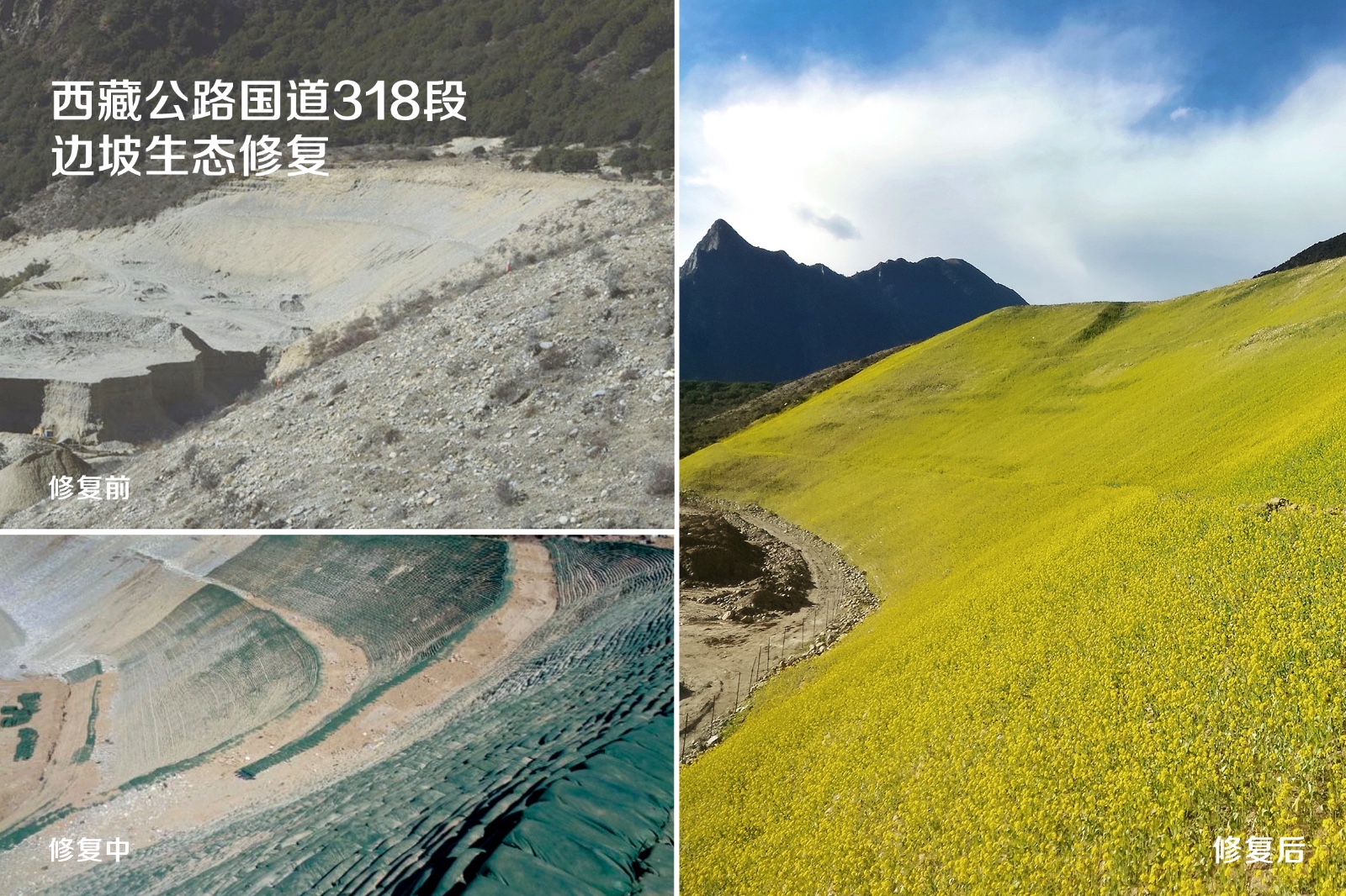 20190305/91ef595aacd80c567577e2ddd4e11908.jpg 91ef595aacd80c567577e2ddd4e11908.jpg