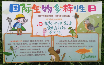 20190530/325b4b69f0d440d72a2a14b2dd600ae1.png 325b4b69f0d440d72a2a14b2dd600ae1.png