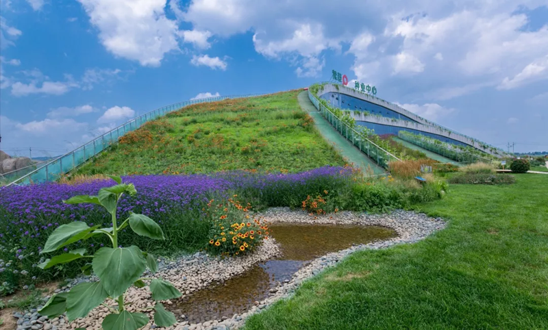 20190930/3c353604e52d9a756655d64f0fb7f55e.png 3c353604e52d9a756655d64f0fb7f55e.png