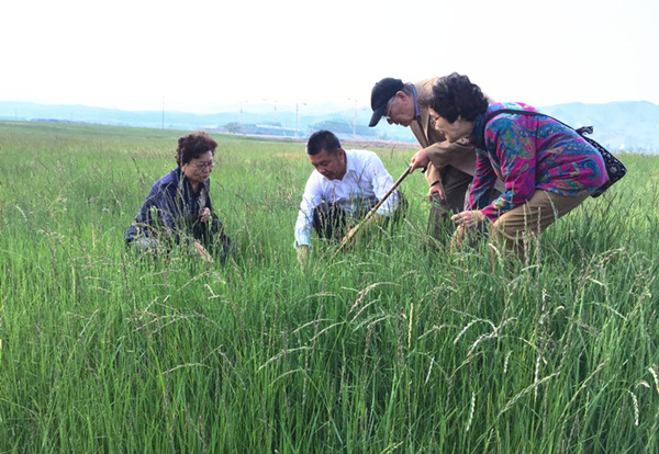 20191213/9006a260de6fbe3d4f0fc32f3bb40a31.jpg 9006a260de6fbe3d4f0fc32f3bb40a31.jpg