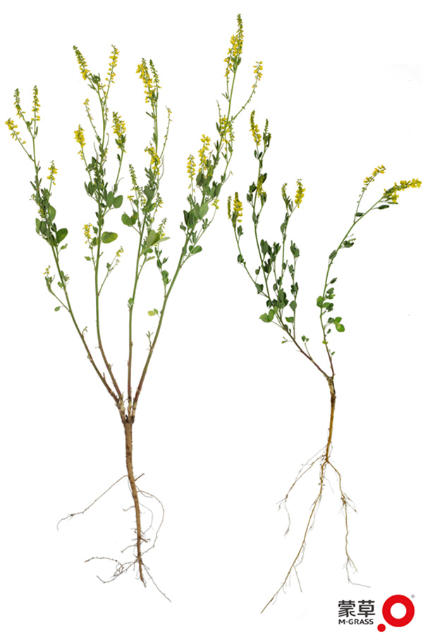 20191213/ba3f9b0c02ffb17562ee3ff021f763fe.jpg ba3f9b0c02ffb17562ee3ff021f763fe.jpg