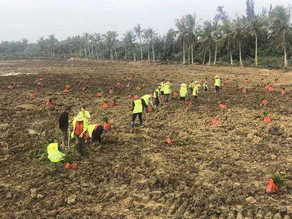 20200109/7af2a84065f1e33b70492a0012fd1800.jpg 7af2a84065f1e33b70492a0012fd1800.jpg