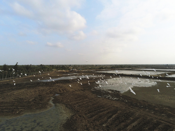 20200109/9fd8bcd457a719fb759bb4f9fd203ecd.jpg 9fd8bcd457a719fb759bb4f9fd203ecd.jpg