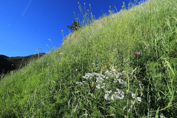 20200120/274e363f00067e274a4a81949039c61f.png 274e363f00067e274a4a81949039c61f.png