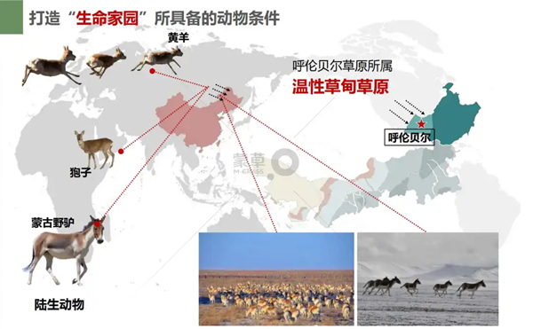 20200318/90399d2d0db577a40ce6afad73829975.png 90399d2d0db577a40ce6afad73829975.png