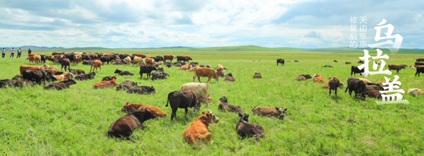 20200427/e005f56df79134fe945535e5d2fe642d.png e005f56df79134fe945535e5d2fe642d.png