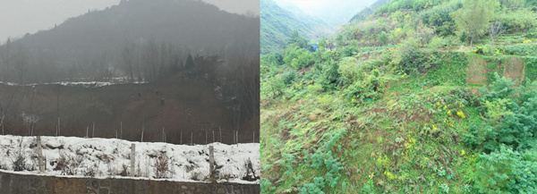 20200507/1a65c9f966197f19c9ddb76a7398e1c2.jpg 1a65c9f966197f19c9ddb76a7398e1c2.jpg