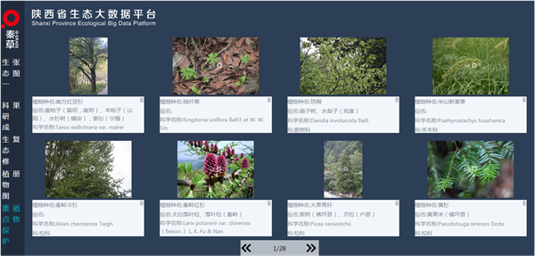 20200507/c80e0eaf24b0d7684fe1721997e5d43b.png c80e0eaf24b0d7684fe1721997e5d43b.png