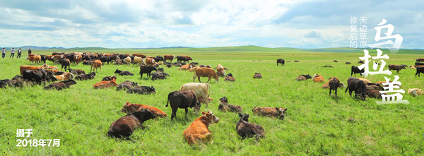 20200601/d129fdfc55e4f27178f7c7aad122a2f2.jpg d129fdfc55e4f27178f7c7aad122a2f2.jpg