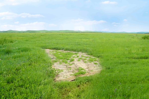 20200617/9dc5f6539b14912bdbda5063f30b4dda.png 9dc5f6539b14912bdbda5063f30b4dda.png