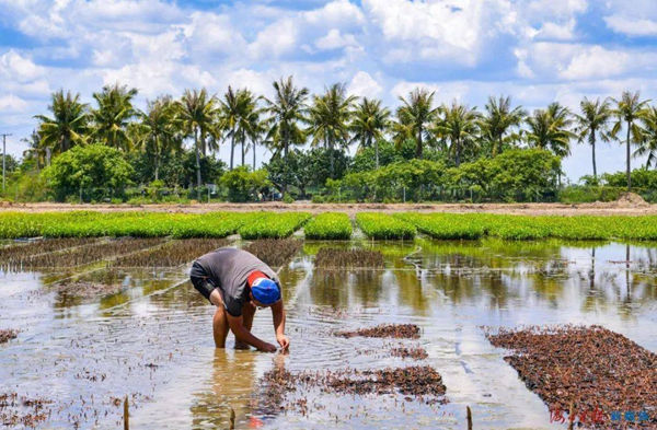 20200702/a0416eb06415841c754b86e57506ec06.jpg a0416eb06415841c754b86e57506ec06.jpg