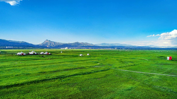 20200829/81d8cbab662f48698c4da11425b07f34.jpg 81d8cbab662f48698c4da11425b07f34.jpg