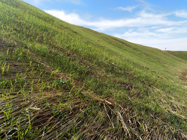 20201117/9e82ce20a079e2ee0a92dfe9883e2fd2.png 9e82ce20a079e2ee0a92dfe9883e2fd2.png