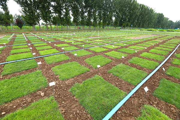 20201126/2bc4a8386fe8d44c25591518067edb3a.png 2bc4a8386fe8d44c25591518067edb3a.png