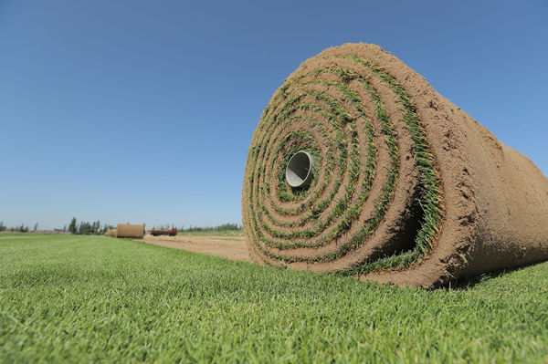 20201126/8bf5564af78029c341b46f57213a437a.jpg 8bf5564af78029c341b46f57213a437a.jpg