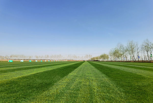 20201126/f7021554893bad6379a5df7411f32bb4.jpg f7021554893bad6379a5df7411f32bb4.jpg