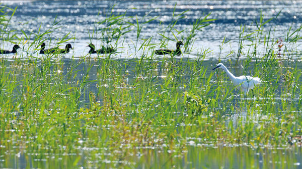 20201231/d7578c309104ff68c2bf4713dfd55532.jpg d7578c309104ff68c2bf4713dfd55532.jpg