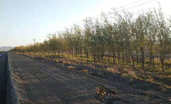 20210201/8c3bef4851dfc3ad187ee5cbc2c58a05.png 8c3bef4851dfc3ad187ee5cbc2c58a05.png