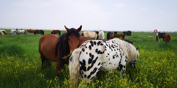 20210310/bfabd4ec63c47757452a04032842c767.jpg bfabd4ec63c47757452a04032842c767.jpg