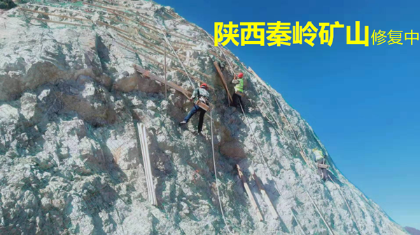 20210419/9edc2749ed08db45522f79b15dc7f29d.png 9edc2749ed08db45522f79b15dc7f29d.png