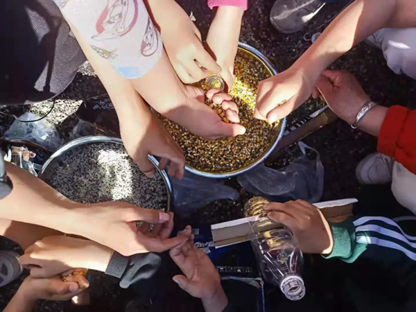 20210607/b1d7e4f8840239b7ba6326b13c4677b4.png b1d7e4f8840239b7ba6326b13c4677b4.png