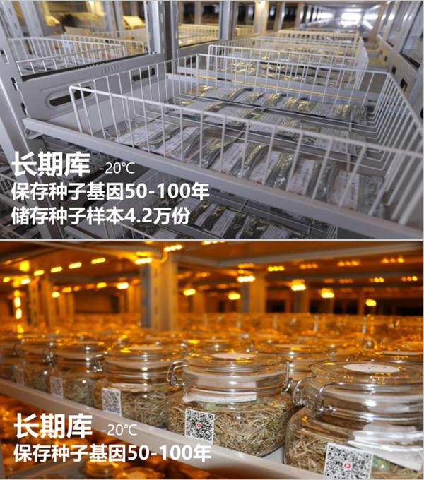 20211013/8f9783c21b5d7a93d907647527c79e46.png 8f9783c21b5d7a93d907647527c79e46.png