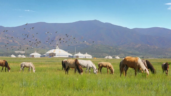 20211013/fe133596179cba81fb478ca872e24de3.jpg fe133596179cba81fb478ca872e24de3.jpg