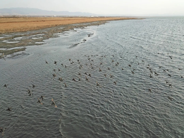 20211015/1384ae2a094b96d7a5b31b3c77ddbc6b.jpg 1384ae2a094b96d7a5b31b3c77ddbc6b.jpg