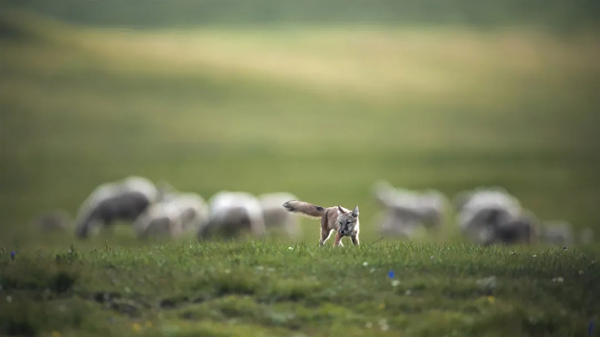 20211015/1cab3d5c39db094bfcc447c421c5feda.jpg 1cab3d5c39db094bfcc447c421c5feda.jpg