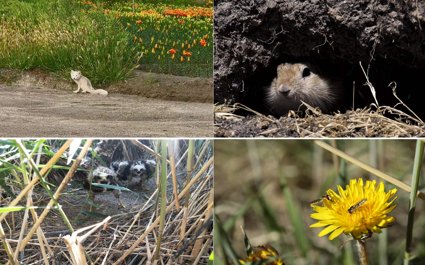 20211015/74d5e1f71e5bbd752acf6d638cda969f.jpg 74d5e1f71e5bbd752acf6d638cda969f.jpg