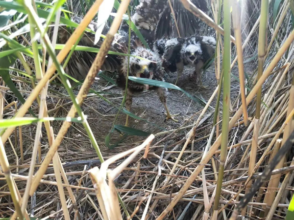 20211015/a24c39046eb1932fe34ac5dd4151d34b.jpg a24c39046eb1932fe34ac5dd4151d34b.jpg