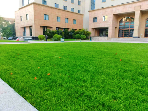 20211207/4a3a61459552a6fdaf6264878151215e.jpg 4a3a61459552a6fdaf6264878151215e.jpg