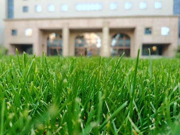 20211207/69034c3c137634c8d4d2c6aeeaf7fd89.jpg 69034c3c137634c8d4d2c6aeeaf7fd89.jpg