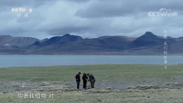 20211214/2728e6c15b23e2a988c99deef11d07a3.png 2728e6c15b23e2a988c99deef11d07a3.png