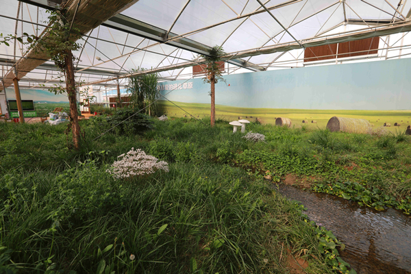 20220219/a9f04d31c7fa78d09079e5aadc0cfd35.jpg a9f04d31c7fa78d09079e5aadc0cfd35.jpg